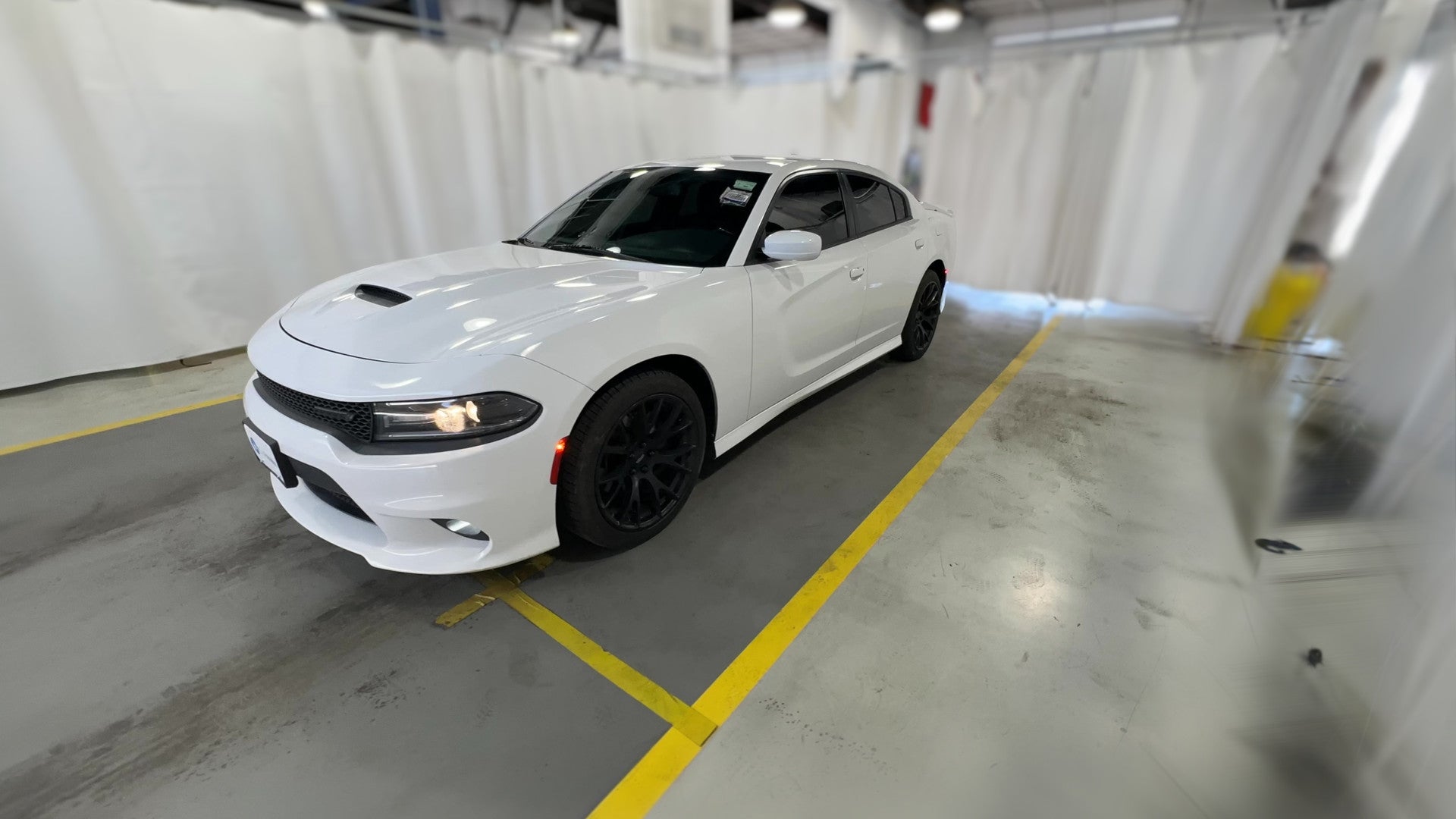 2019 Dodge Charger vehicle photo