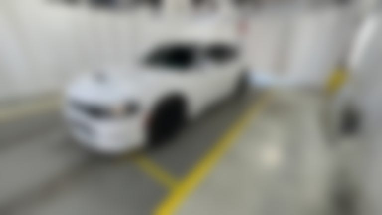 2019 Dodge Charger vehicle photo