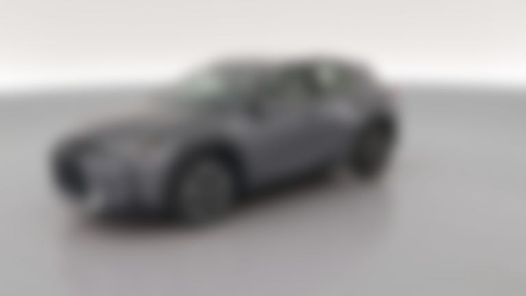 2019 Lexus UX vehicle photo