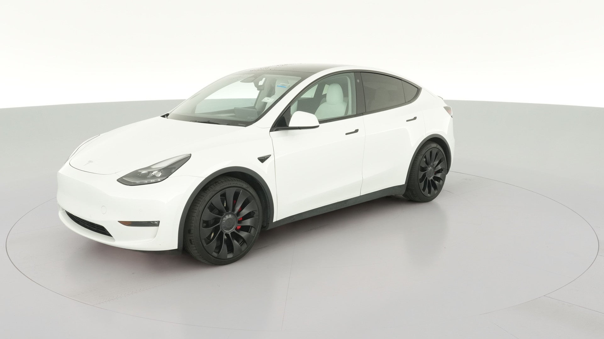 2023 Tesla Model Y vehicle photo