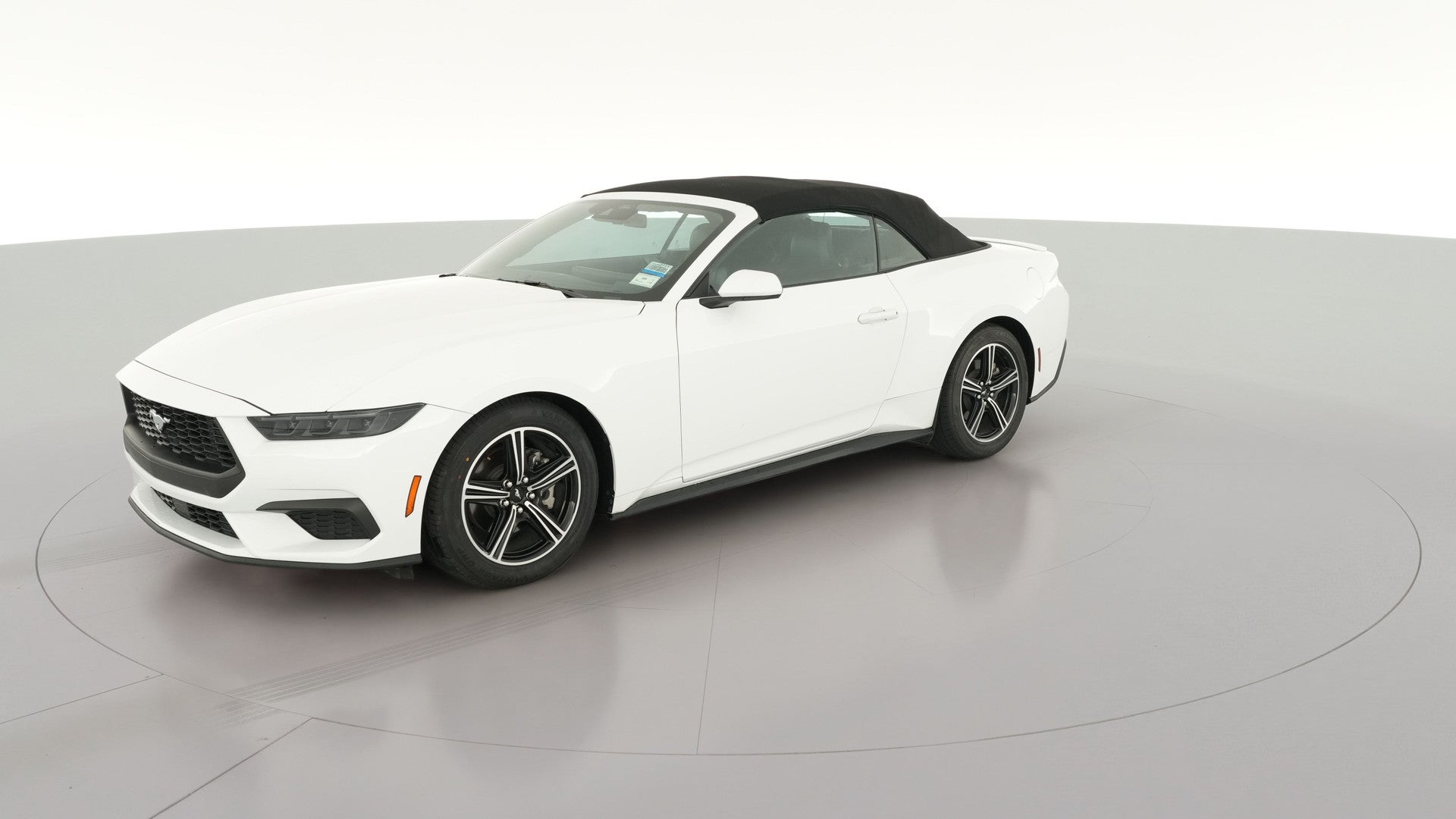 2025 Ford Mustang vehicle photo