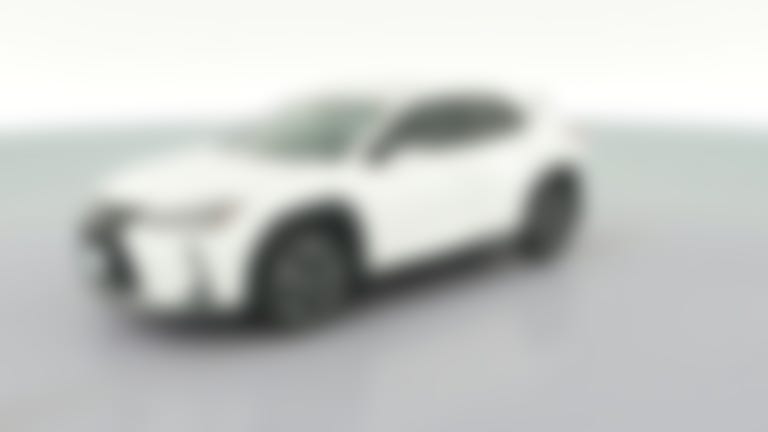 2019 Lexus UX vehicle photo