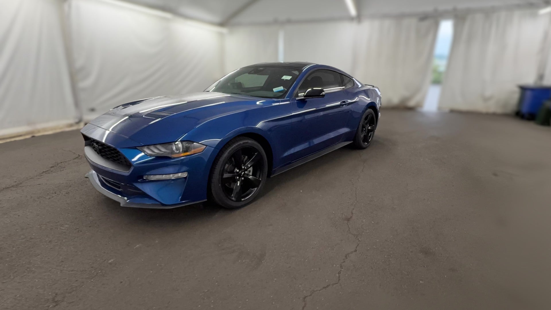 2023 Ford Mustang vehicle photo