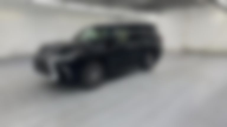 2020 Lexus LX vehicle photo
