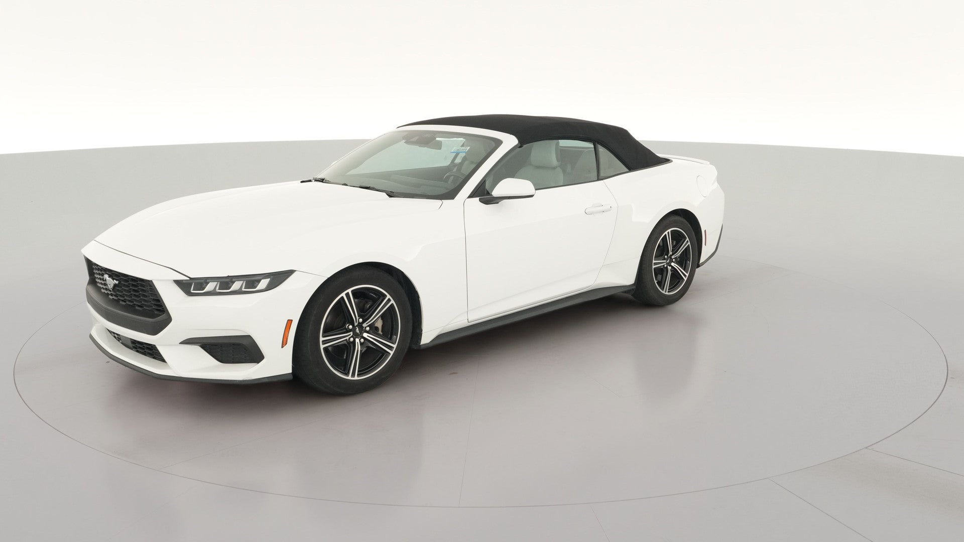 2024 Ford Mustang vehicle photo