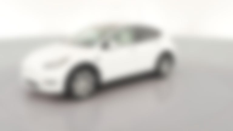 2021 Tesla Model Y vehicle photo