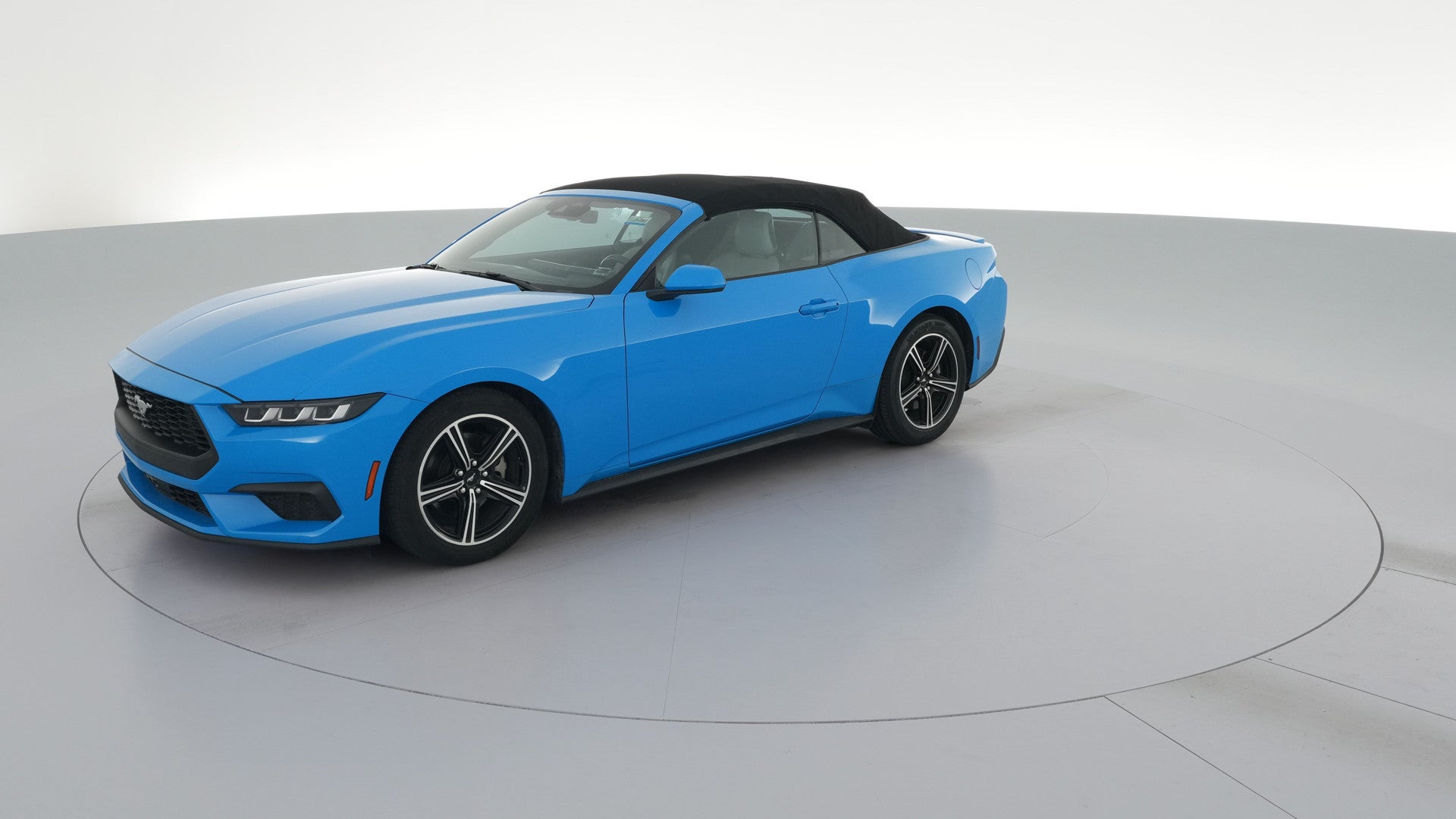 2024 Ford Mustang vehicle photo