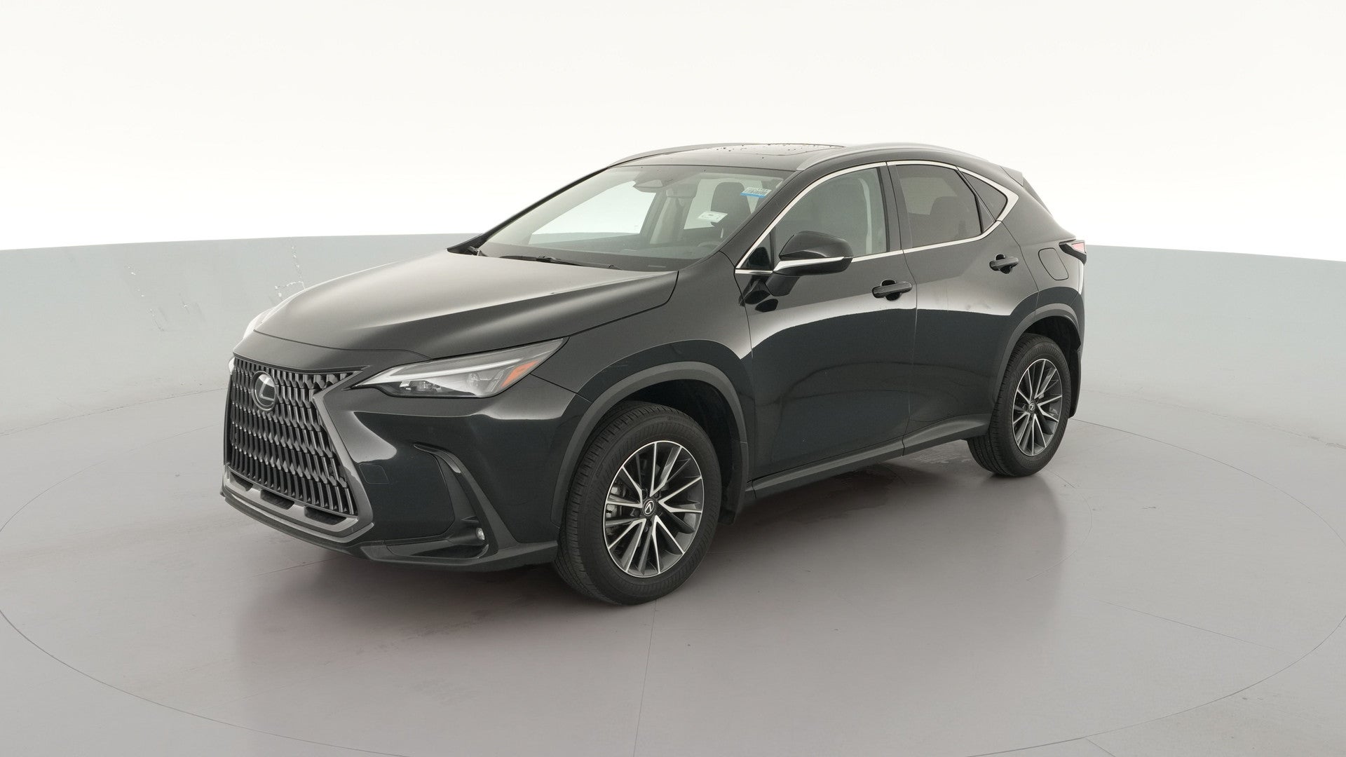 2025 Lexus NX vehicle photo