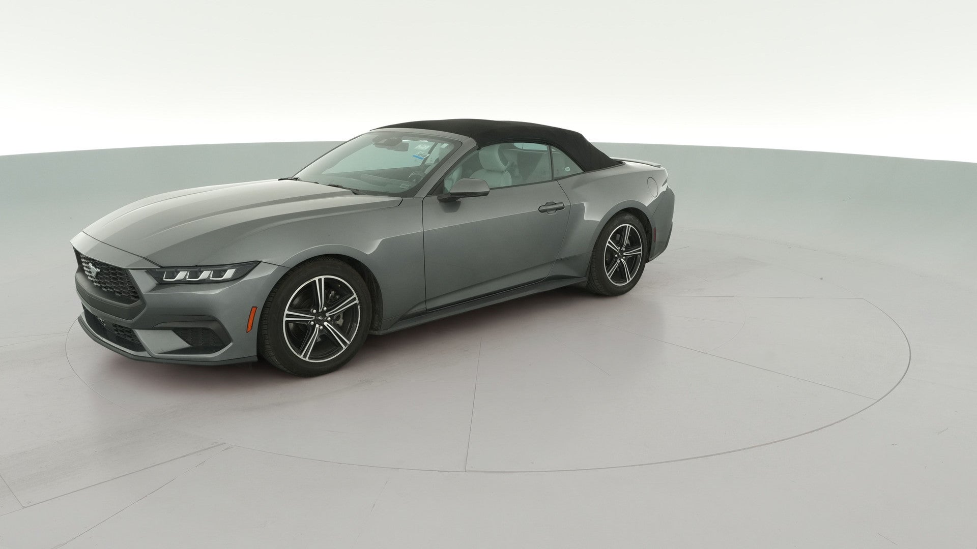 2024 Ford Mustang vehicle photo