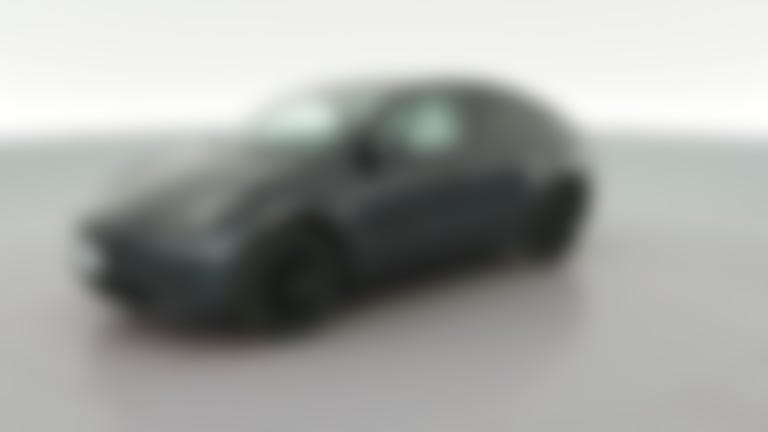2024 Tesla Model Y vehicle photo