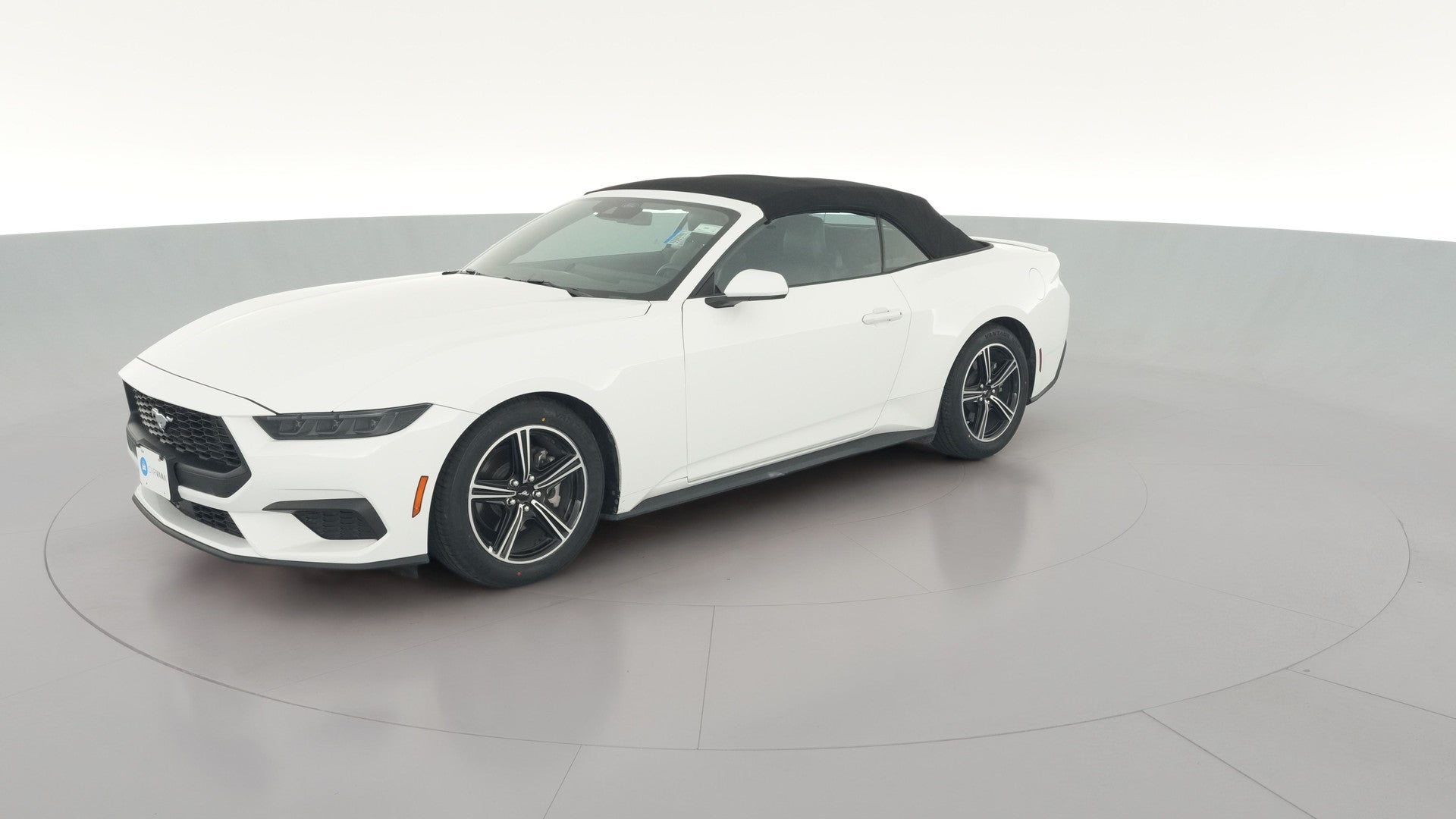 2025 Ford Mustang vehicle photo