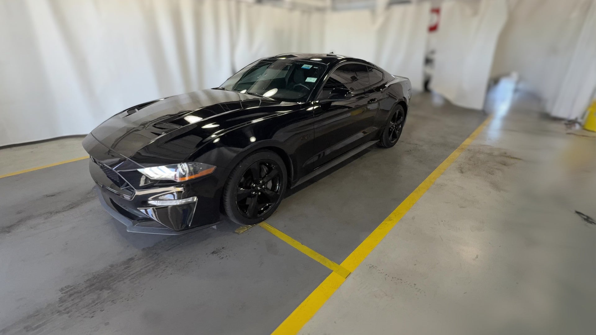 2023 Ford Mustang vehicle photo