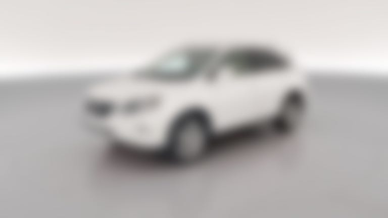 2013 Lexus RX vehicle photo