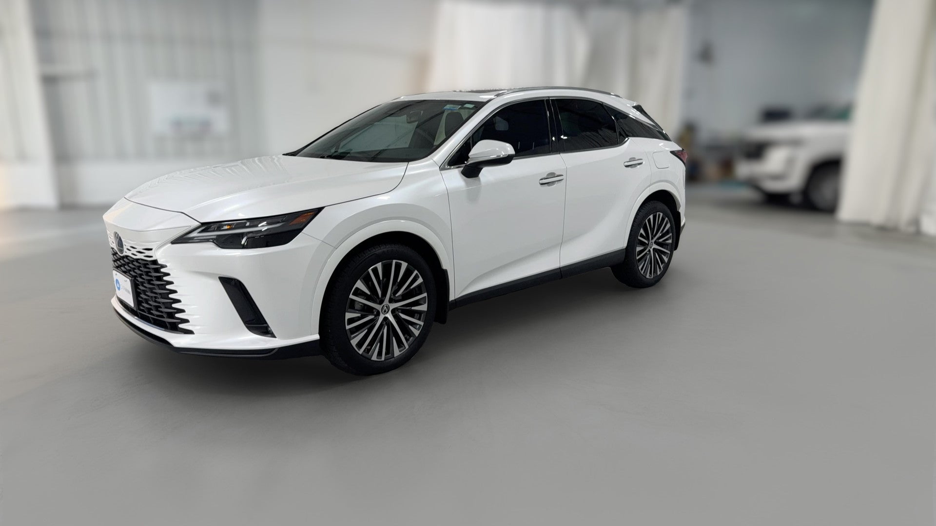 2023 Lexus RX vehicle photo