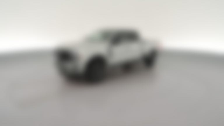 2025 Ford F250 Super Duty Crew Cab vehicle photo