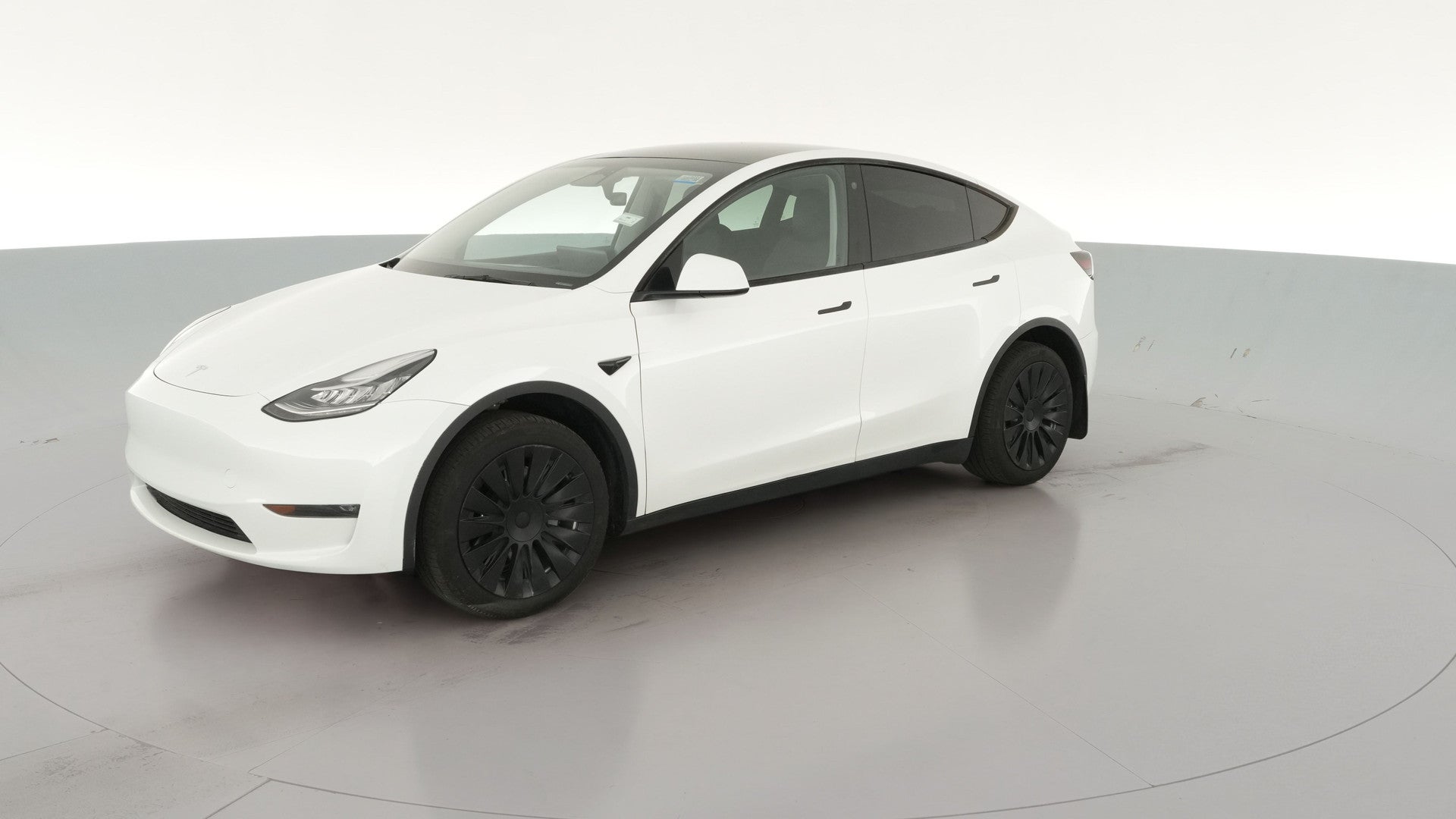 2023 Tesla Model Y vehicle photo