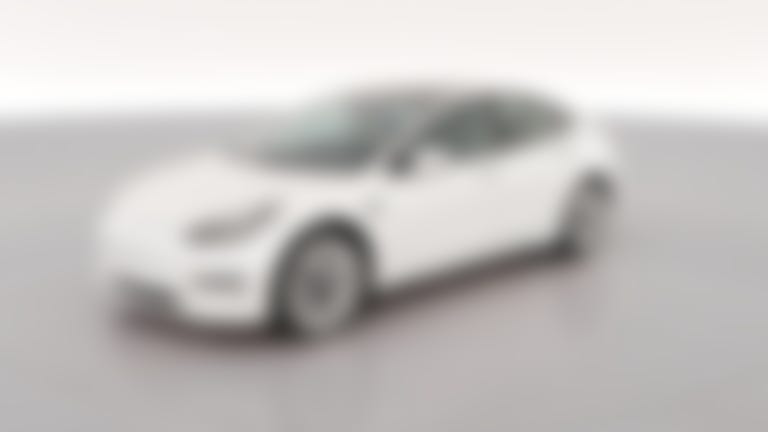 2021 Tesla Model 3 vehicle photo