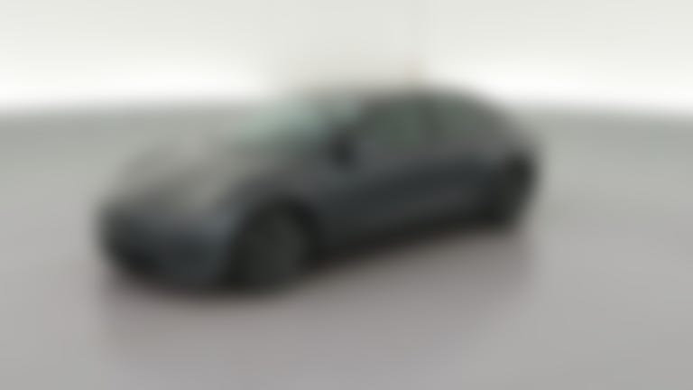 2021 Tesla Model 3 vehicle photo