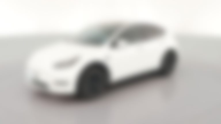 2023 Tesla Model Y vehicle photo