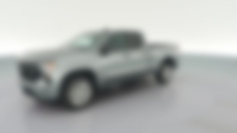 2023 Chevrolet Silverado 1500 Double Cab vehicle photo
