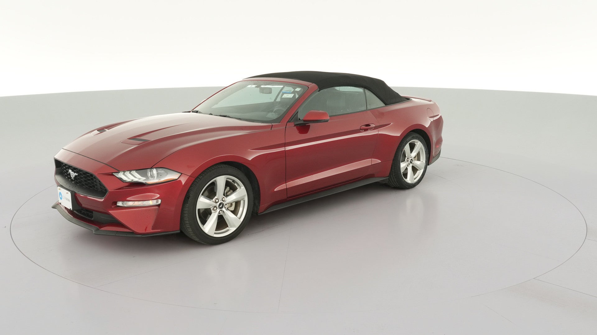 2019 Ford Mustang vehicle photo