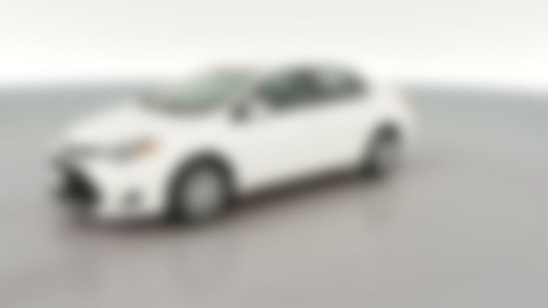 2019 Toyota Corolla vehicle photo