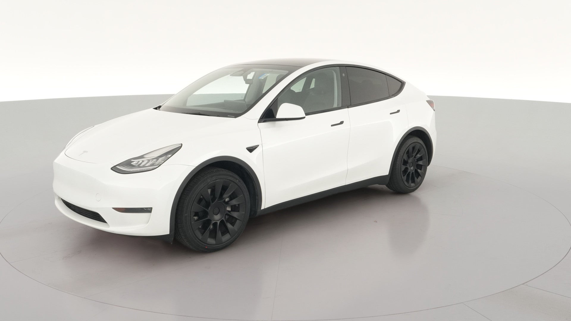 2023 Tesla Model Y vehicle photo