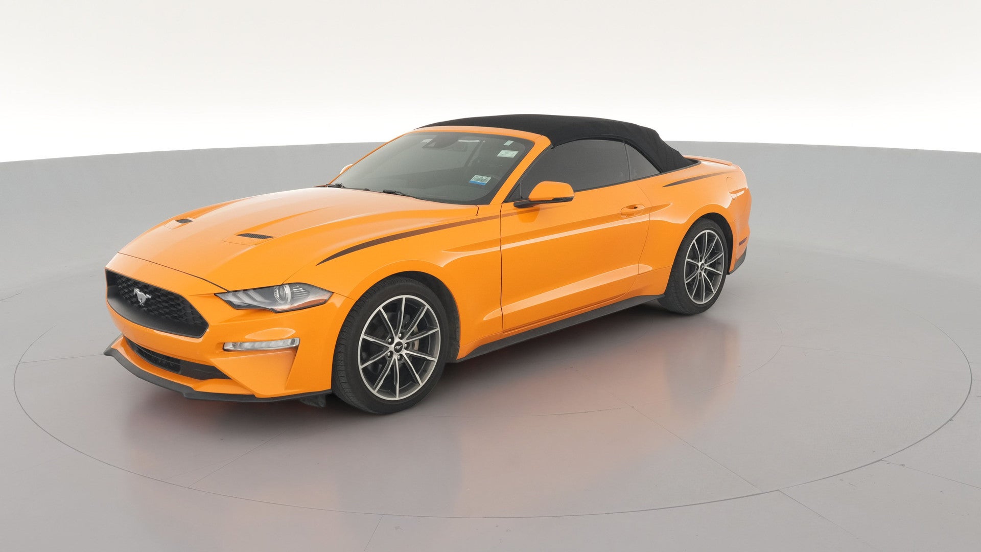 2019 Ford Mustang vehicle photo
