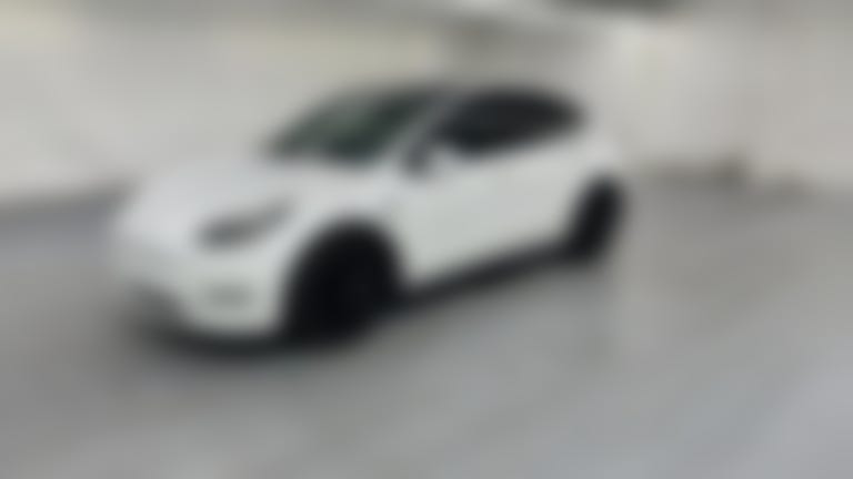 2021 Tesla Model Y vehicle photo