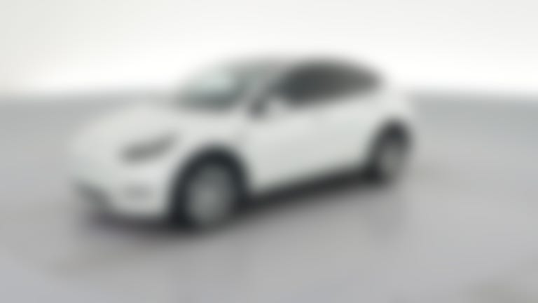 2023 Tesla Model Y vehicle photo