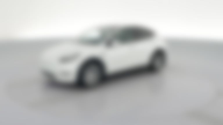 2023 Tesla Model Y vehicle photo