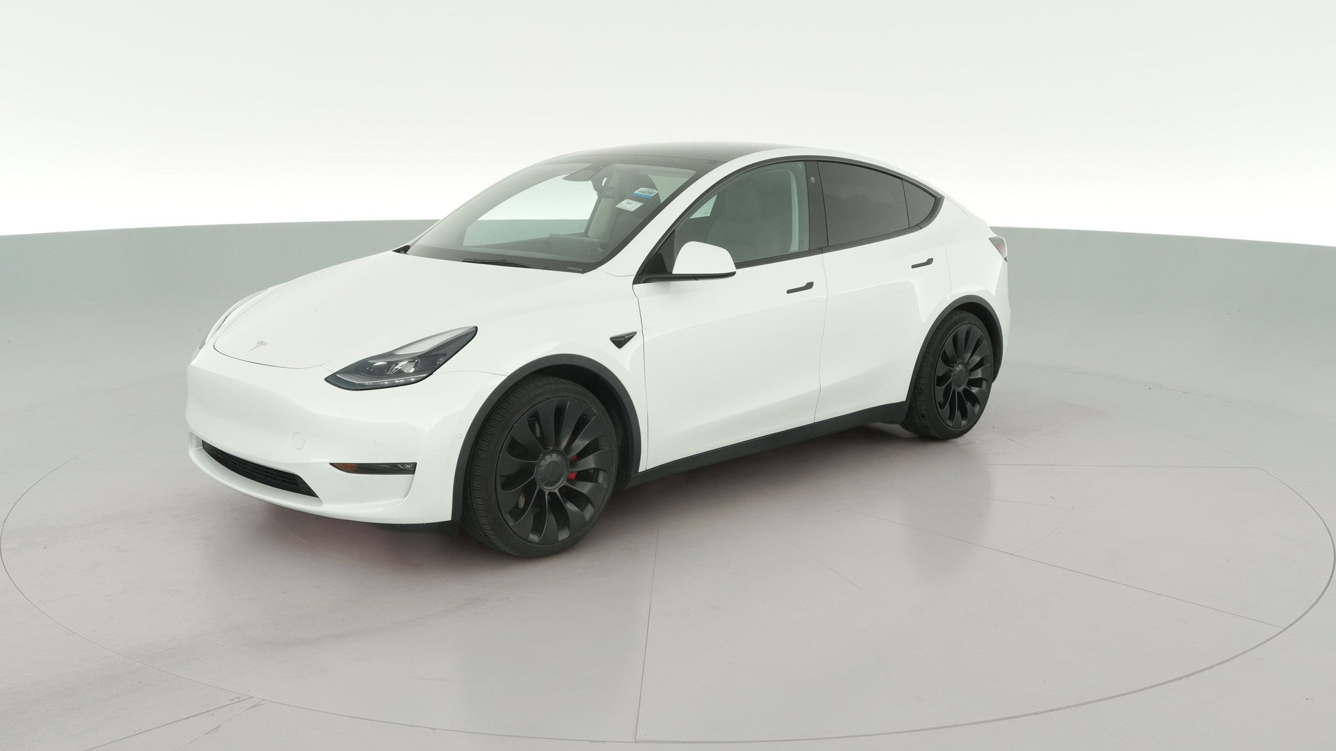 2022 Tesla Model Y vehicle photo