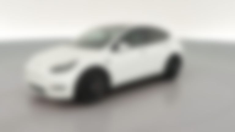 2022 Tesla Model Y vehicle photo