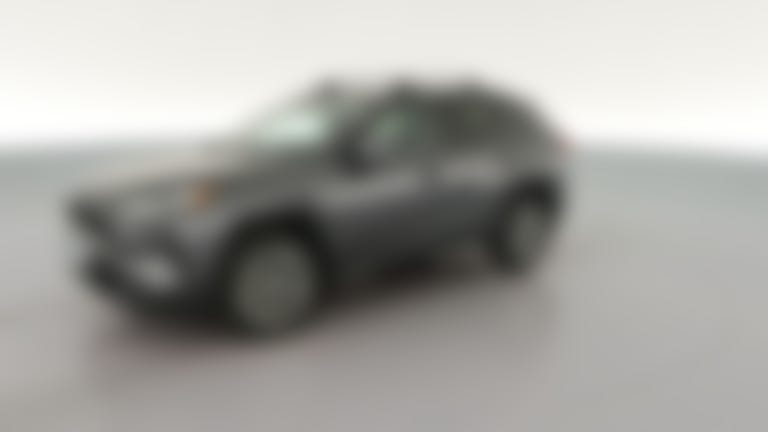 2022 Toyota RAV4 vehicle photo