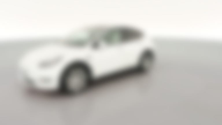 2021 Tesla Model Y vehicle photo