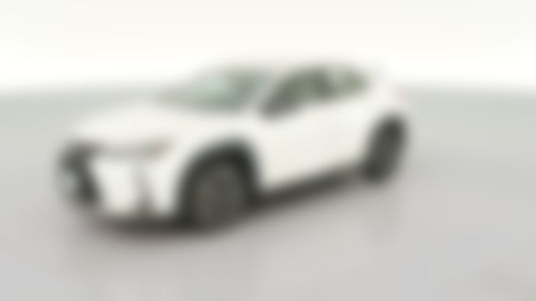 2019 Lexus UX vehicle photo