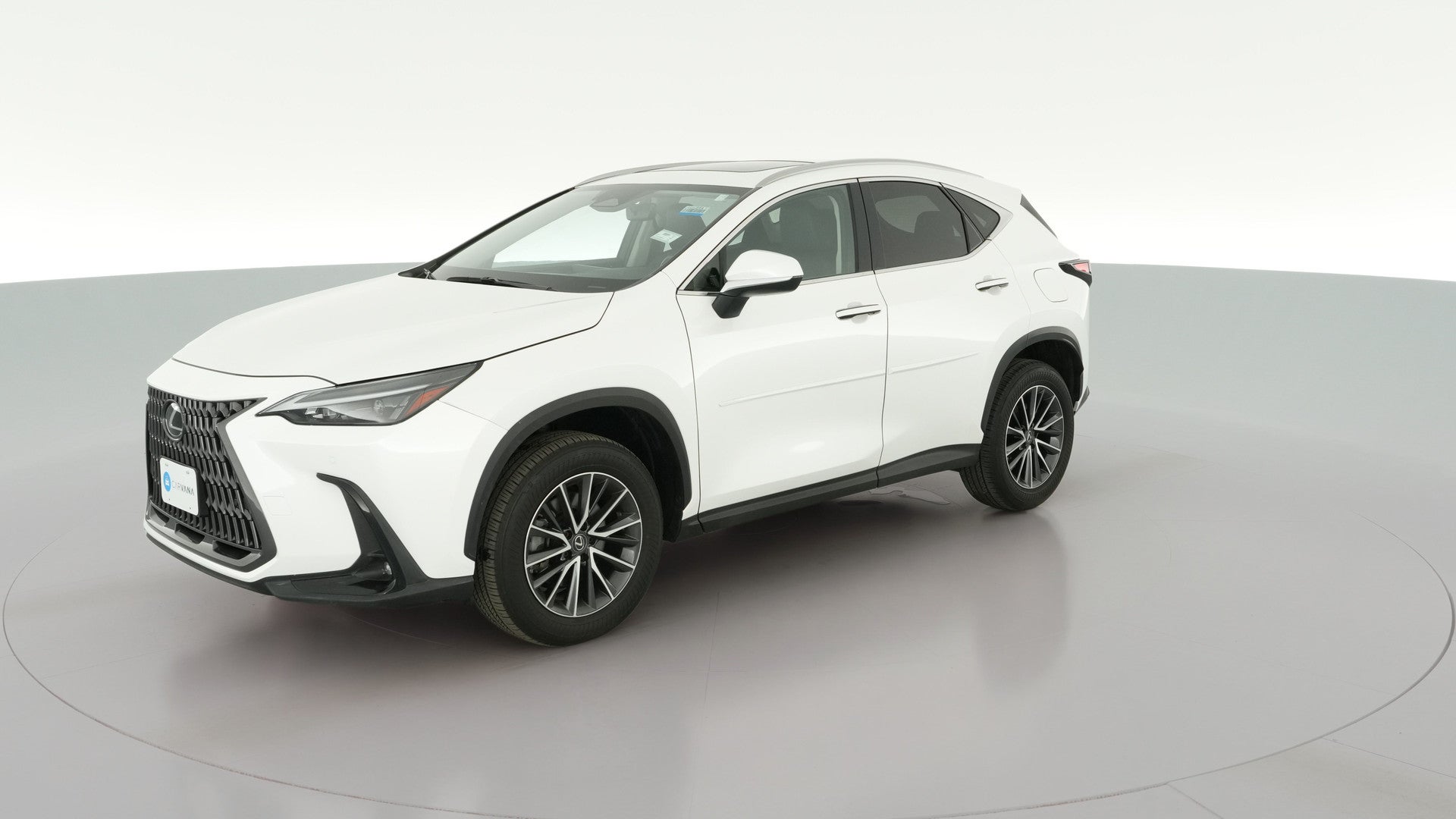2022 Lexus NX vehicle photo