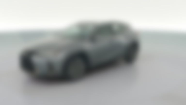 2019 Lexus UX vehicle photo