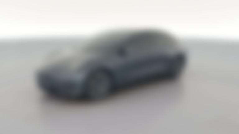 2021 Tesla Model 3 vehicle photo