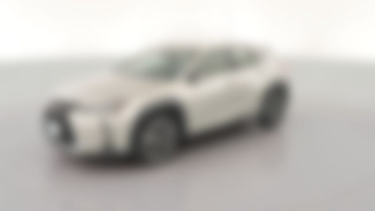 2020 Lexus UX vehicle photo