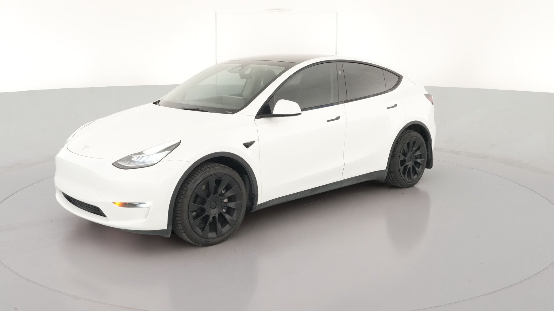 2023 Tesla Model Y vehicle photo
