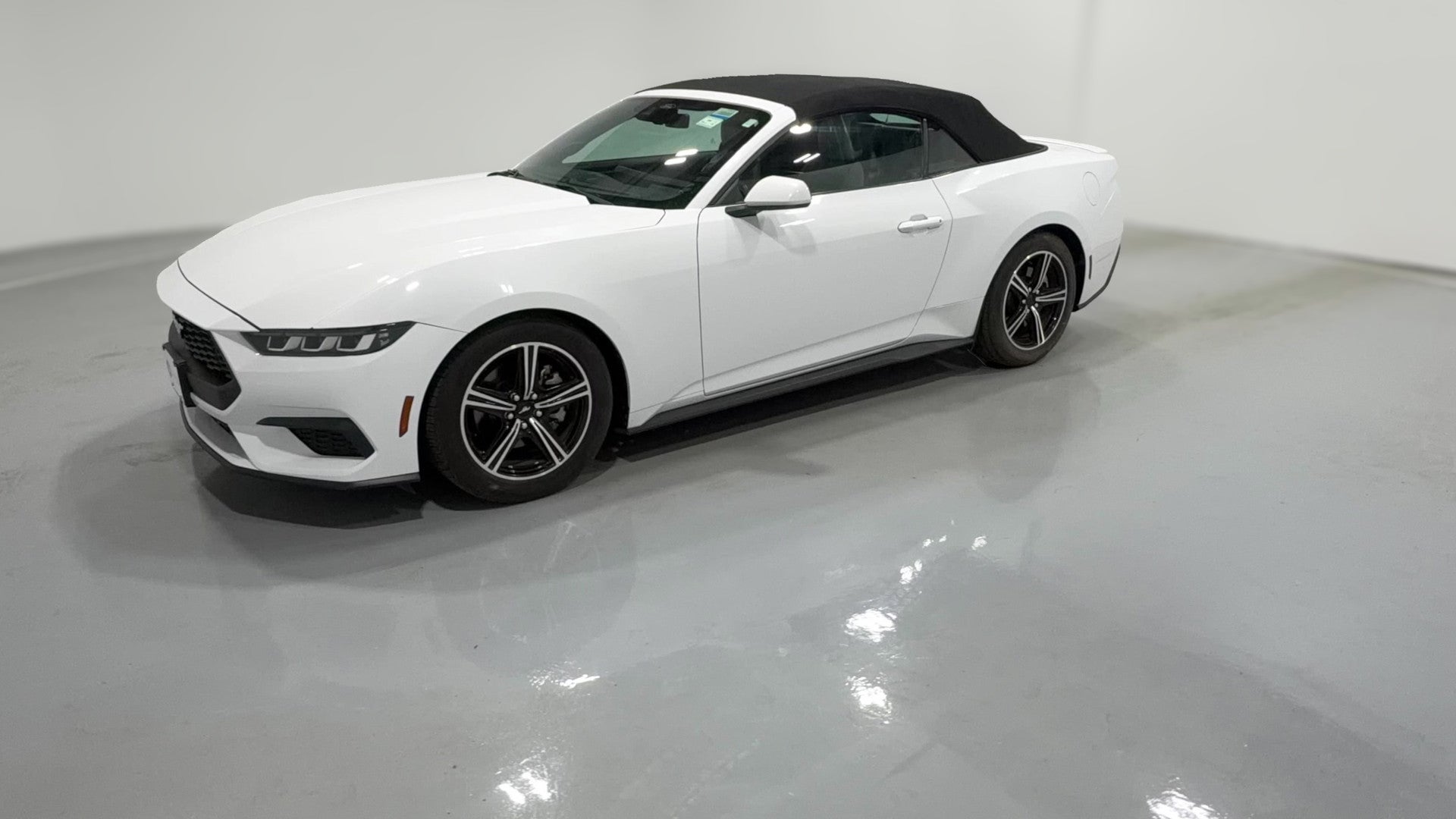 2024 Ford Mustang vehicle photo