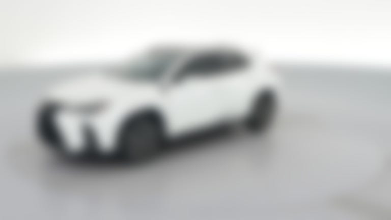 2023 Lexus UX vehicle photo
