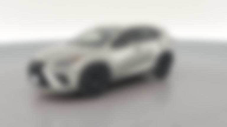 2021 Lexus NX vehicle photo