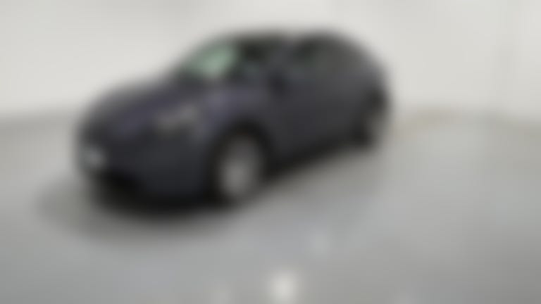 2023 Tesla Model Y vehicle photo