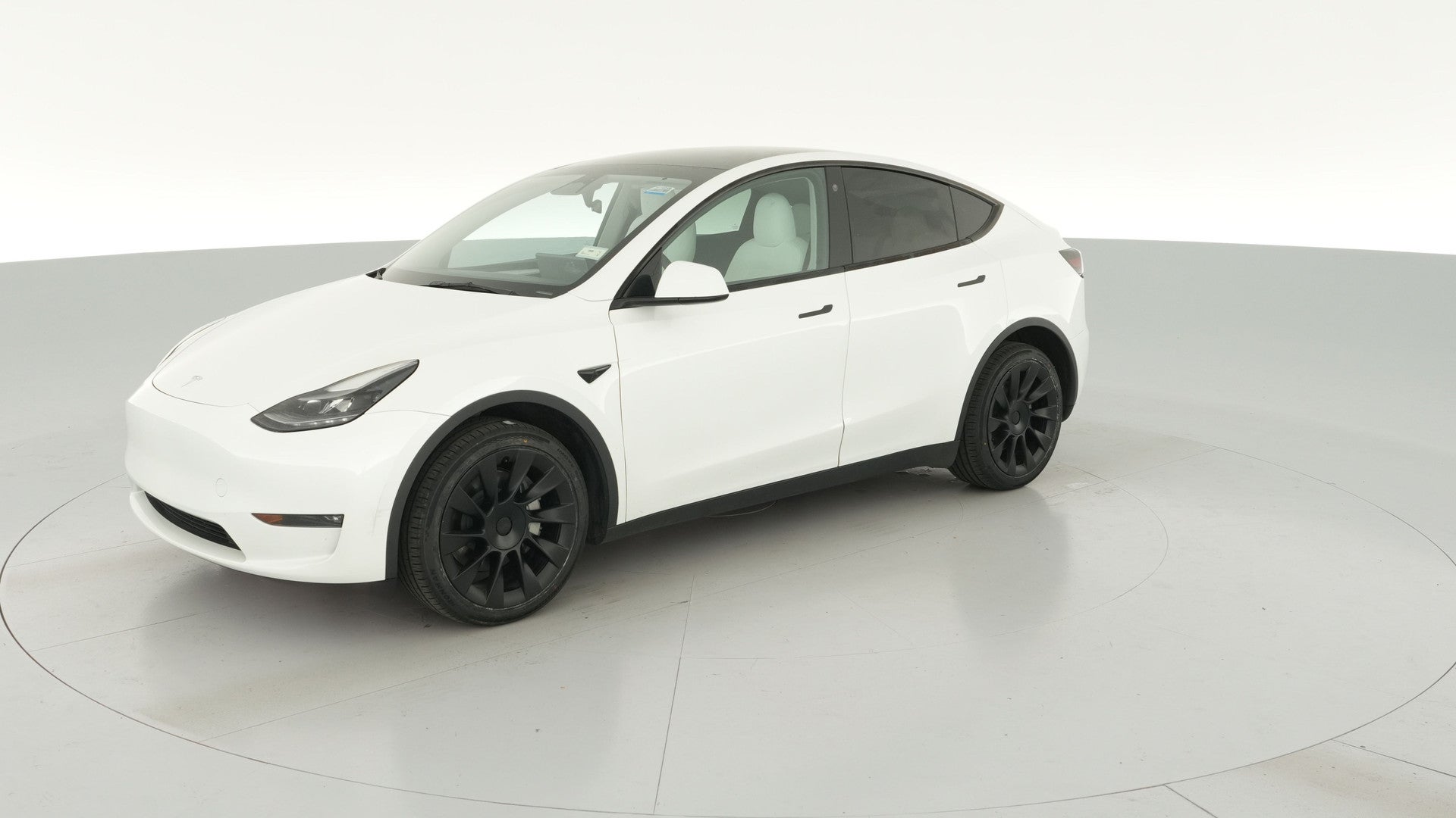 2023 Tesla Model Y vehicle photo