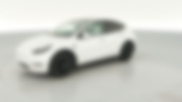 2023 Tesla Model Y vehicle photo