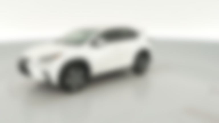 2019 Lexus NX vehicle photo