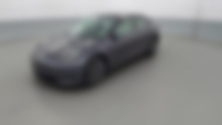 2021 Tesla Model 3 vehicle photo