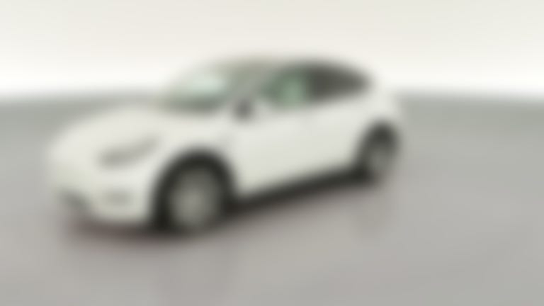 2021 Tesla Model Y vehicle photo